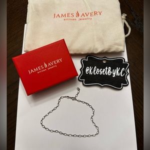 JAMES AVERY 🌼 Medium Twist Anklet